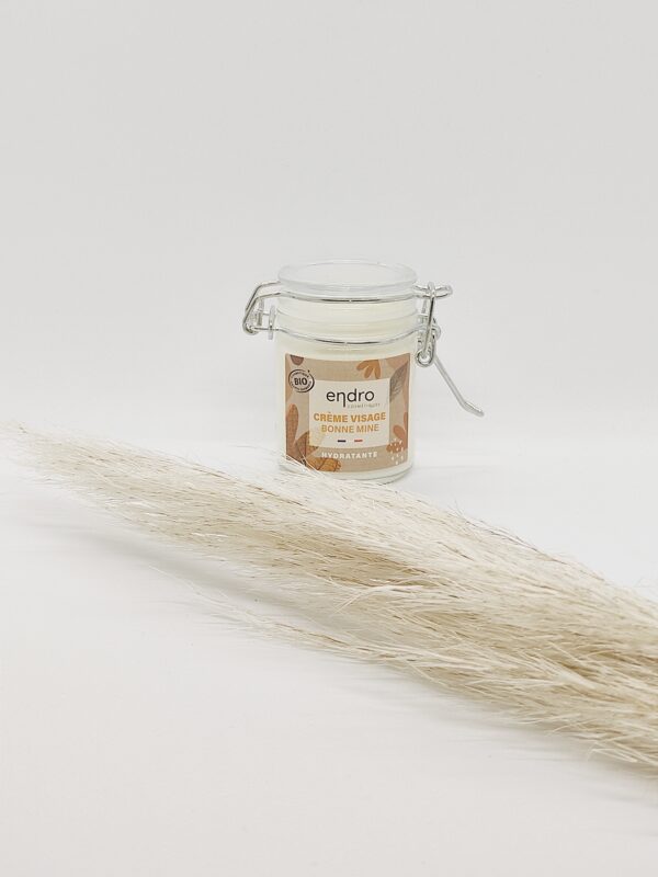 Crème visage bonne mine Endro 50ml